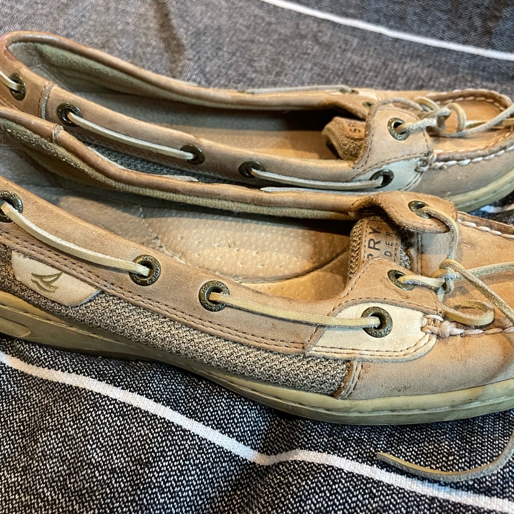 Sperry 6